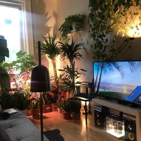 뉴욕 Urban Jungle Oasis In Queens! 아파트 외부 사진