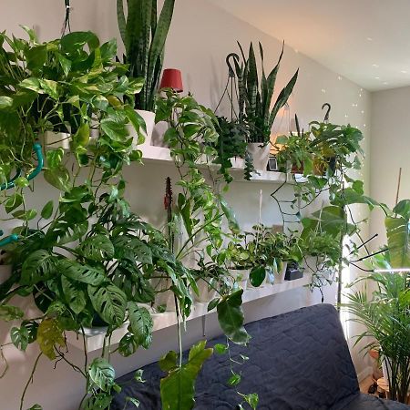 뉴욕 Urban Jungle Oasis In Queens! 아파트 외부 사진