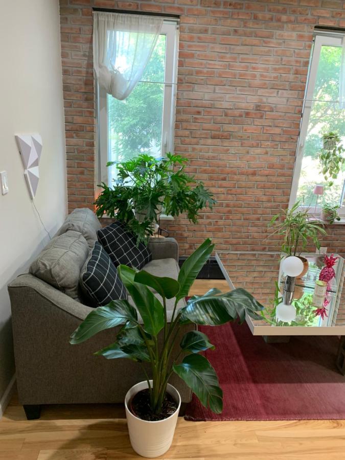 뉴욕 Urban Jungle Oasis In Queens! 아파트 외부 사진