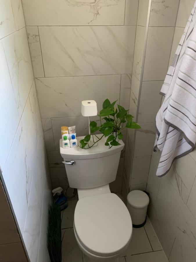 뉴욕 Urban Jungle Oasis In Queens! 아파트 외부 사진