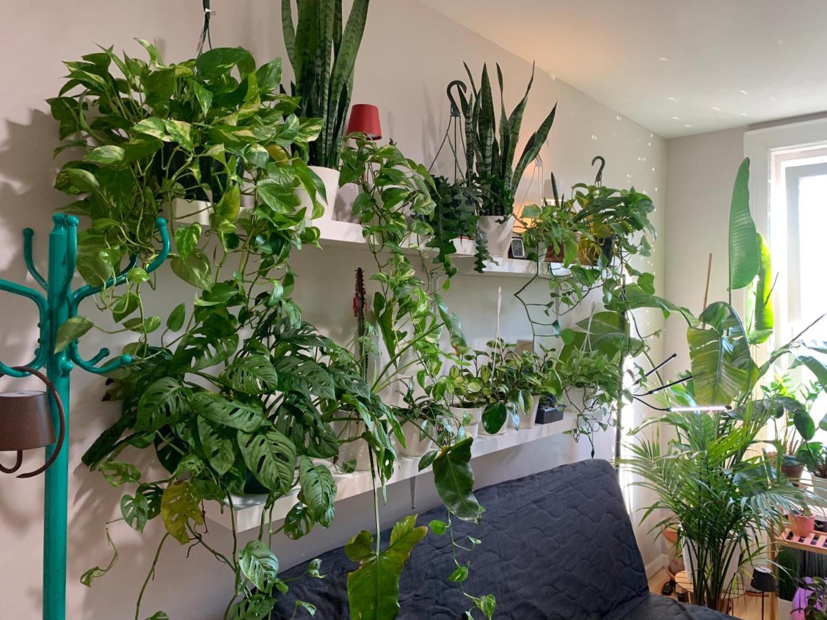 뉴욕 Urban Jungle Oasis In Queens! 아파트 외부 사진