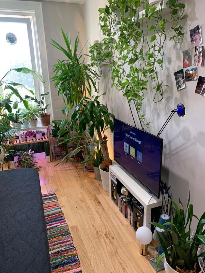 뉴욕 Urban Jungle Oasis In Queens! 아파트 외부 사진